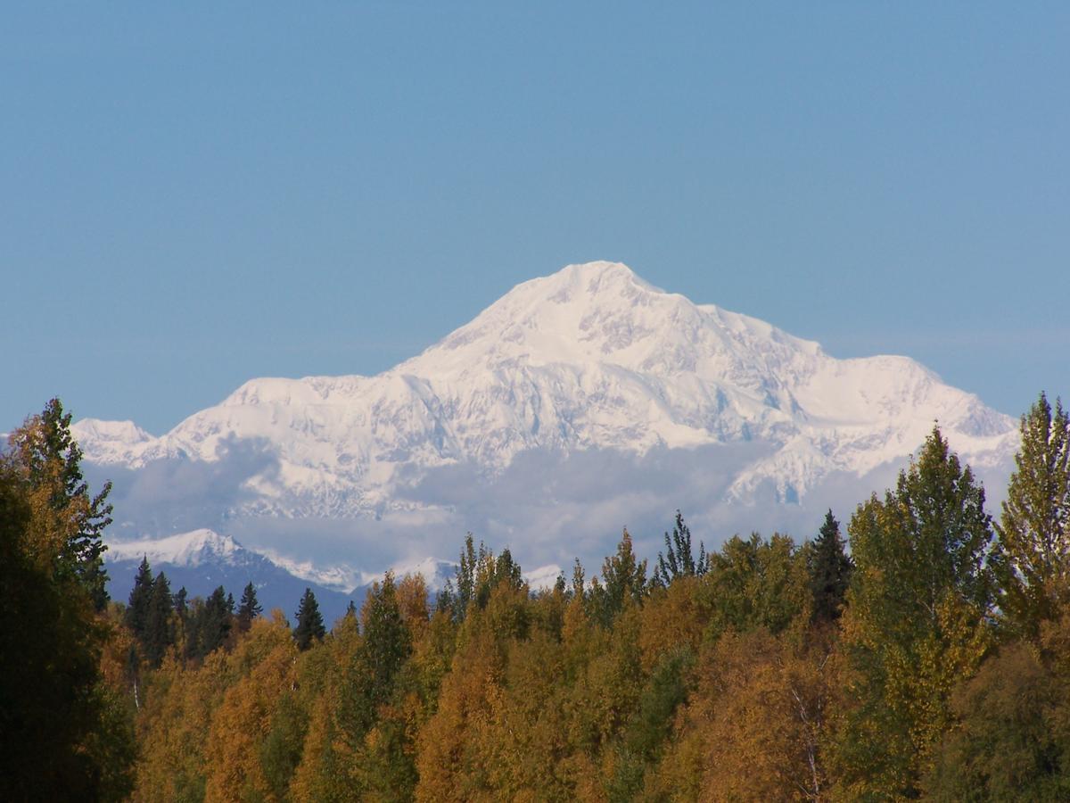 Denali Primrose Bed & Breakfast Healy Bagian luar foto