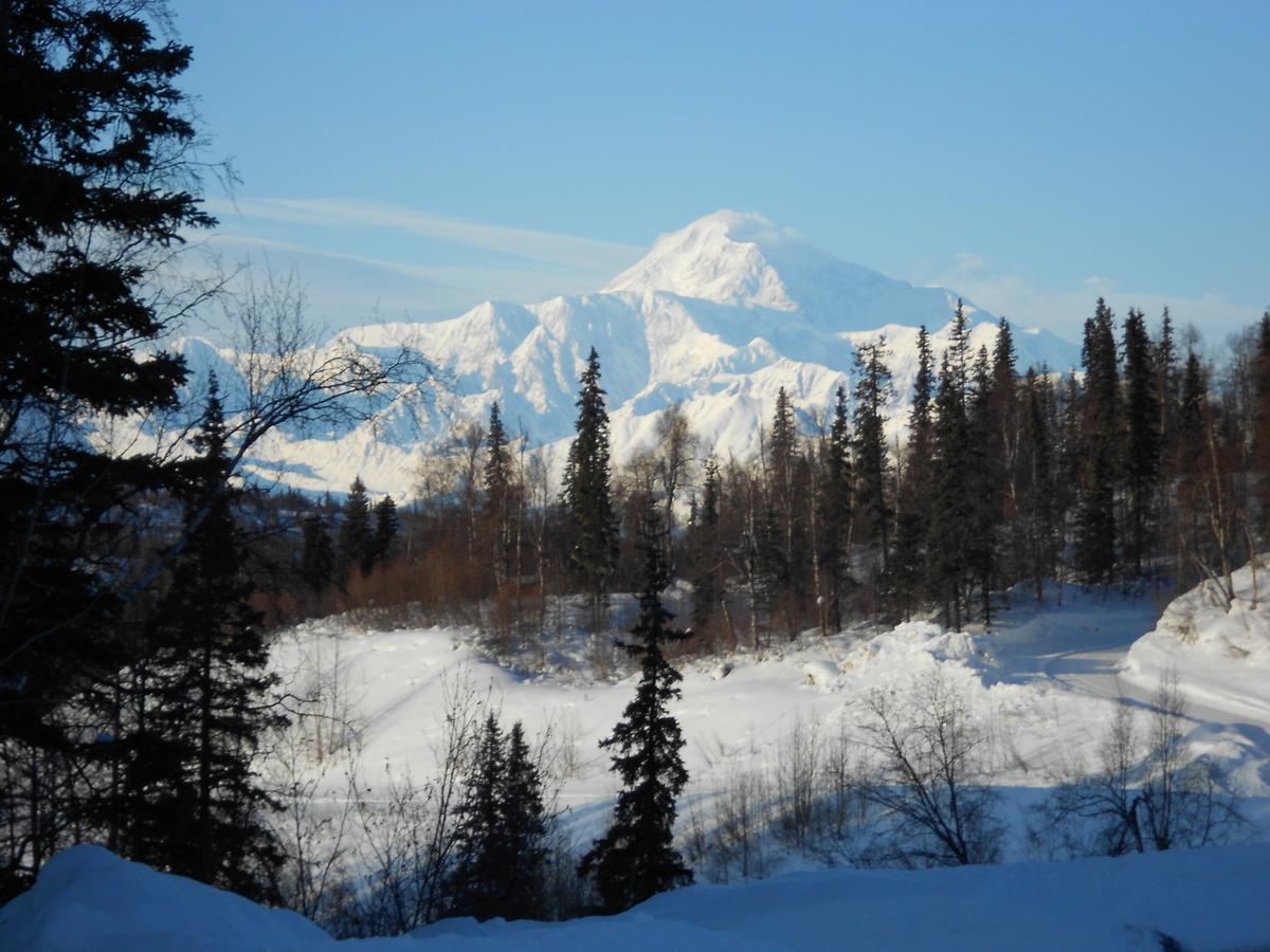 Denali Primrose Bed & Breakfast Healy Bagian luar foto
