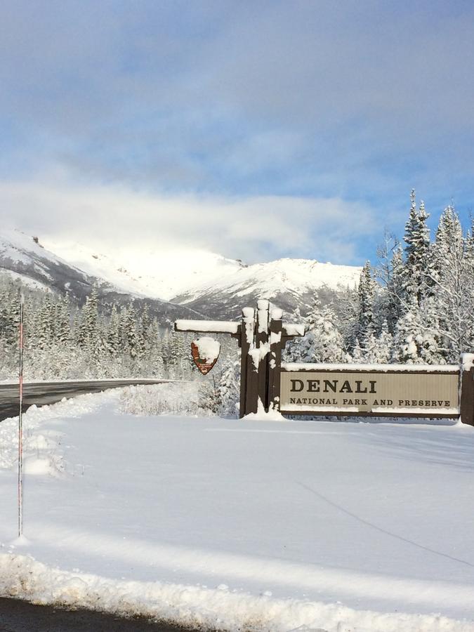 Denali Primrose Bed & Breakfast Healy Bagian luar foto